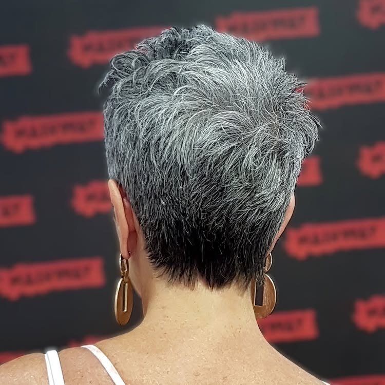 Classic Waved Silver Pixie Bob