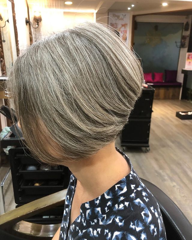 Stacked Pixie Bob with Highlights